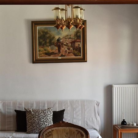 Κεντρικό Και Ευρύχωρο Οροφοδιαμέρισμα 카스토리아 외부 사진