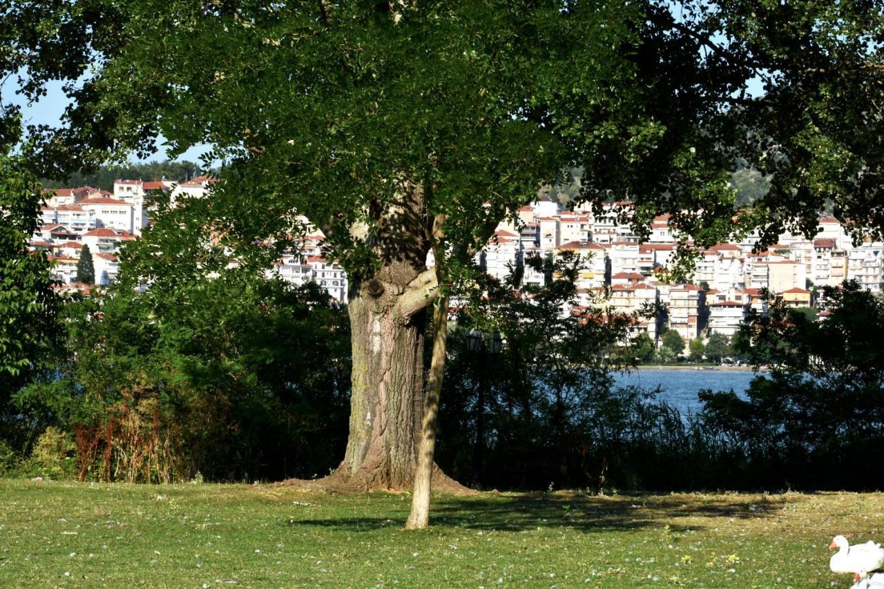Κεντρικό Και Ευρύχωρο Οροφοδιαμέρισμα 카스토리아 외부 사진